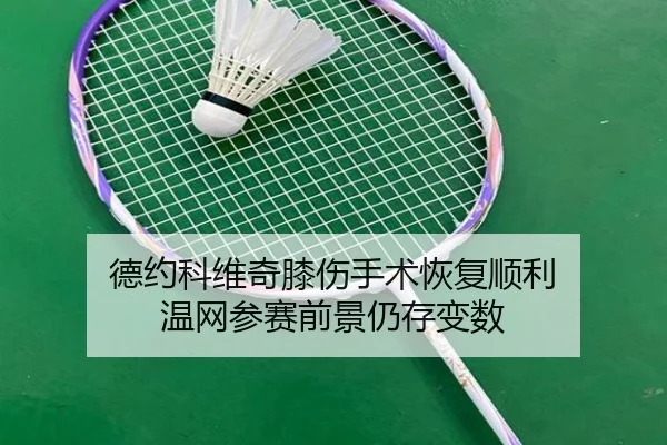 de-yue-ke-wei-qi-xi-shang-shou-shu-hui-fu-shun-li-wen-wang-can-sai-qian-jing-reng-cun-bian-shu-2-833.jpg
