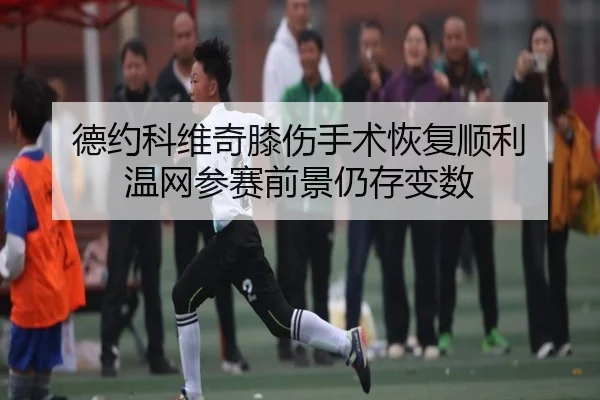 de-yue-ke-wei-qi-xi-shang-shou-shu-hui-fu-shun-li-wen-wang-can-sai-qian-jing-reng-cun-bian-shu-3-692.jpg